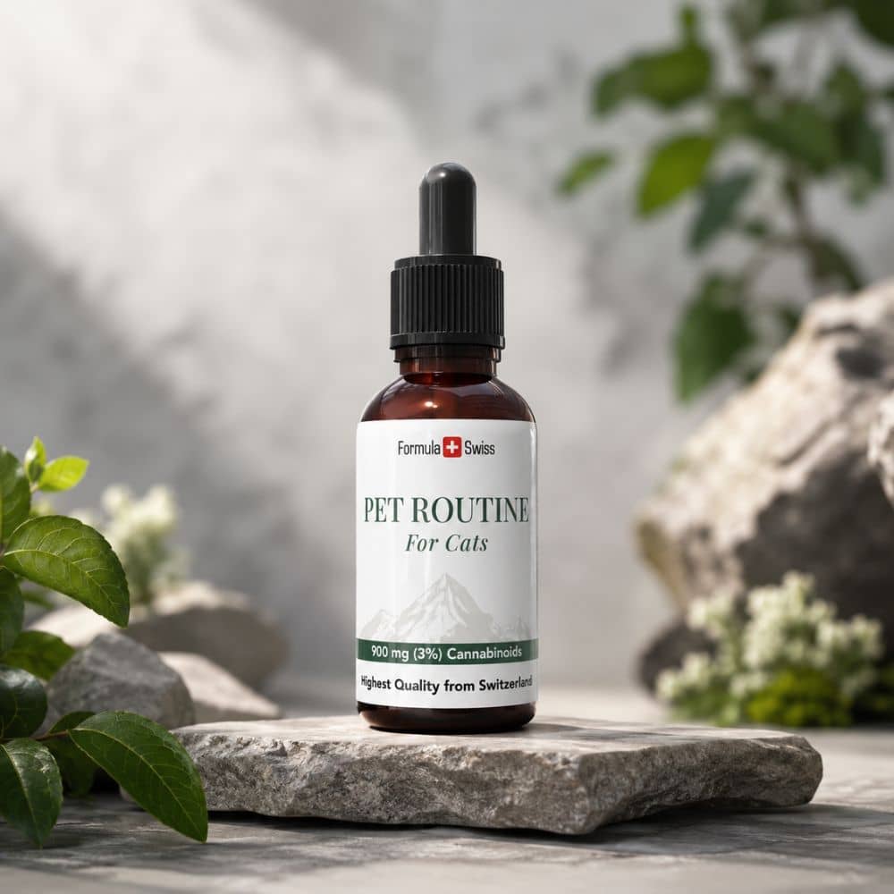 Bouteille de 'Pet Routine for Cats' sur une surface en pierre avec de la verdure en arrière-plan