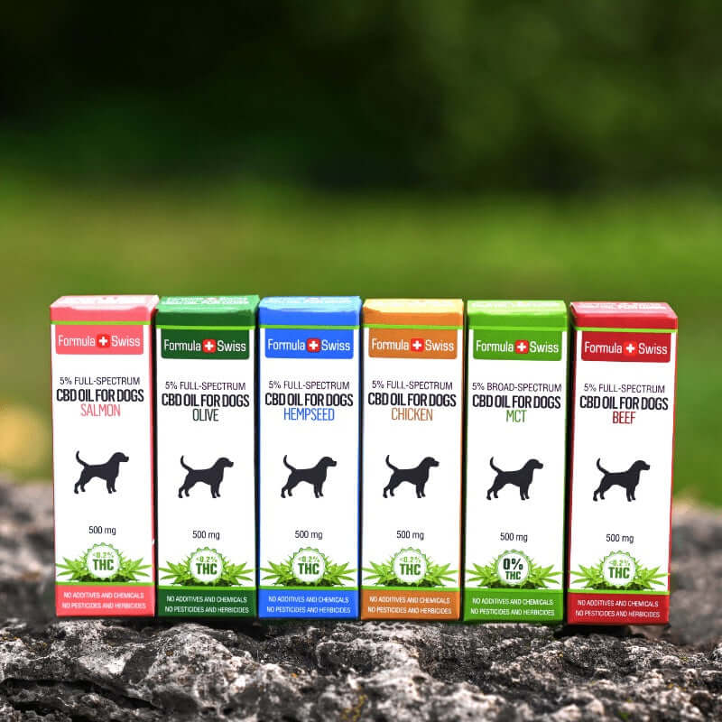 Acheter de l'huile de CBD pour animaux de compagnie