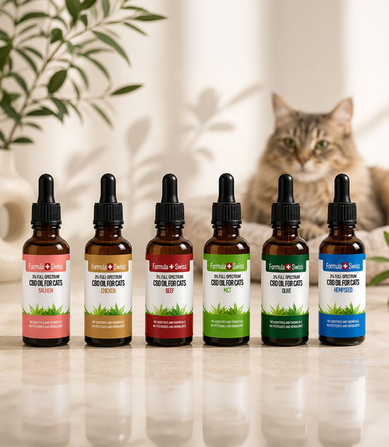 Huile de CBD pour chats