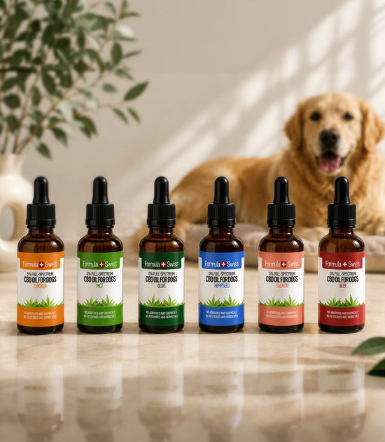 Huile de CBD pour chien