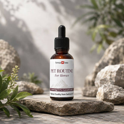 Bouteille de 'Pet Routine for Horses' sur une surface en pierre avec fond naturel